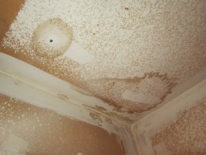 Obvious water staining on the ceiling.